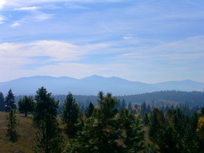 [The foreground contains the tops of a lot of evergreens at eye level. The middle of the image appears to be a rolling hill covered in evergreens. In the distance above both sets of evergreens is the shadowy outline of a mountain range.]